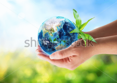 Coaching für Anlageprofis und Berater